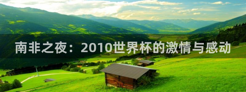世界杯48支球队赛制:南非之夜:2010世界杯的激情与感动