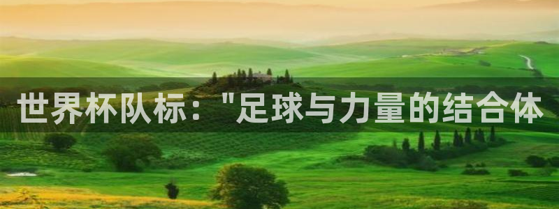 世预赛赛程表:世界杯队标:\