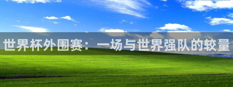 世界杯预选赛2026:世界杯外围赛:一场与世界强队的较量