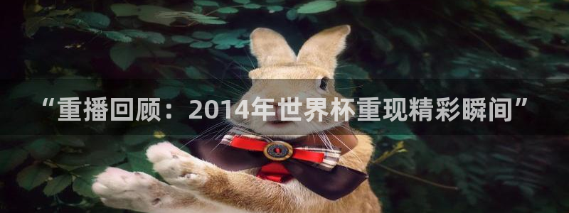 世界杯赛程表2026:“重播回顾:2014年世界杯重现精彩瞬间”