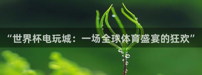 足球世预赛:“世界杯电玩城:一场全球体育盛宴的狂欢”