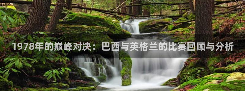 世界杯预选赛欧洲赛区赛程:1978年的巅峰对决:巴西与英格兰的比赛回顾与分析