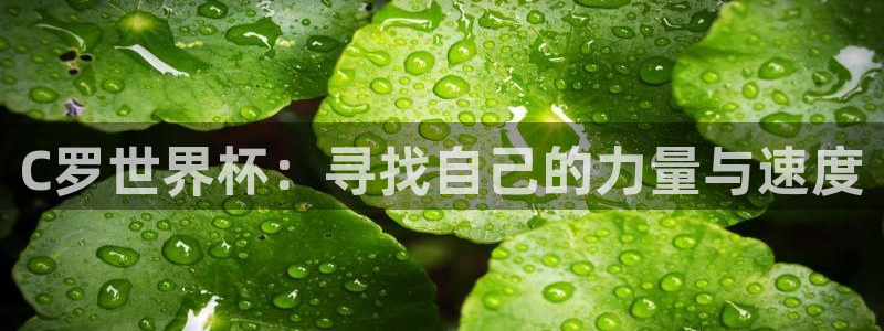 国际足联世界杯:C罗世界杯:寻找自己的力量与速度