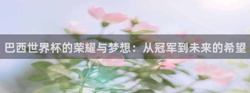 女足世界杯赛程:巴西世界杯的荣耀与梦想:从冠军到未来的希望